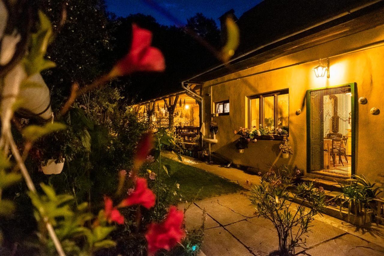 Villa Rihuini Eco Wine House Transylvania Richisu Exterior photo
